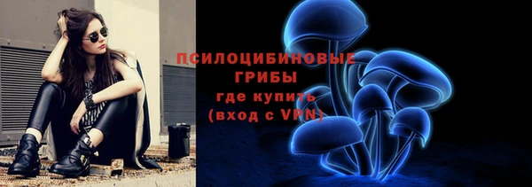 прущие крисы Верея