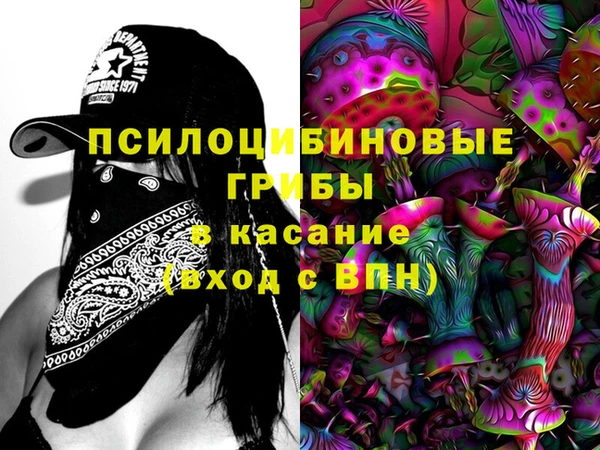 кристаллы Бикин