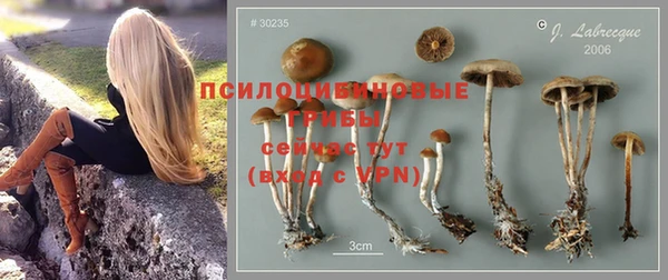 МДПВ Верхний Тагил