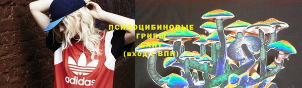 прущие крисы Верея
